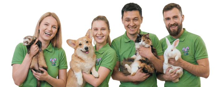 Превращаем любовь к животным в профессию