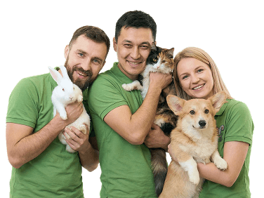 Превращаем любовь к животным в профессию