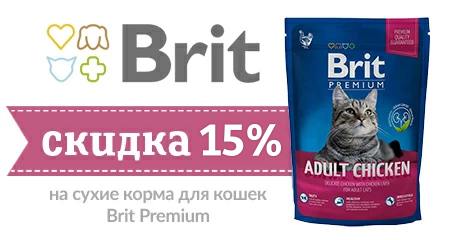 Скидка 15% на сухие корма для кошек Brit Premium