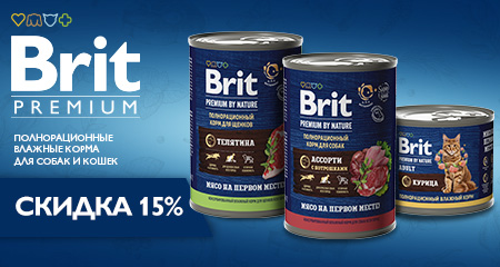 Скидка 15% при покупке влажного корма Brit Premium для кошек и собак