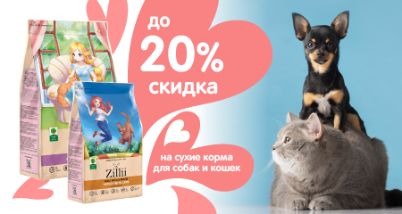Скидка до 20% на сухие корма для собак и кошек Zilli