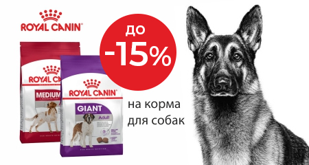 Скидка до 15 % на сухой корм Royal Canin для собак 