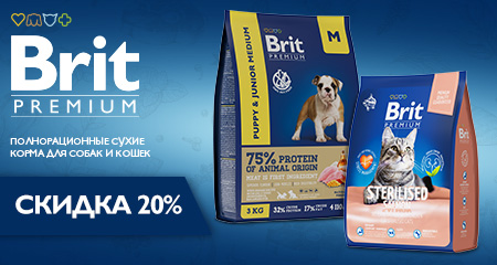 Скидка 20% при покупке сухого корма Brit Premium для кошек и собак