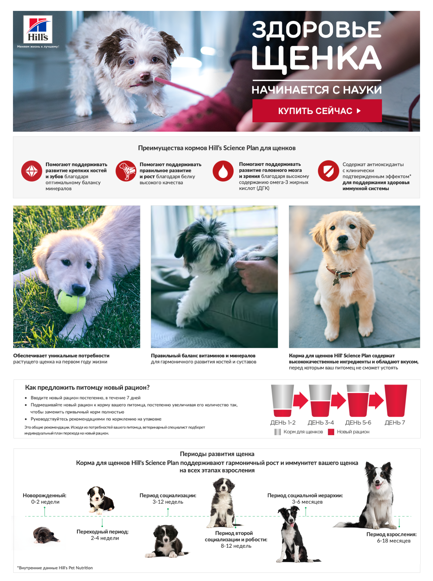 Hills_SP_PK_2020_A_page_Puppy.png